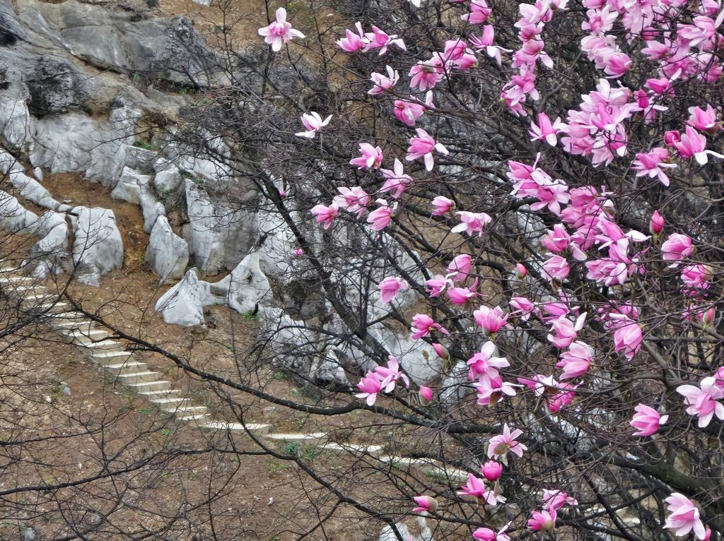 药王谷的奥秘与意义_精准解释落实