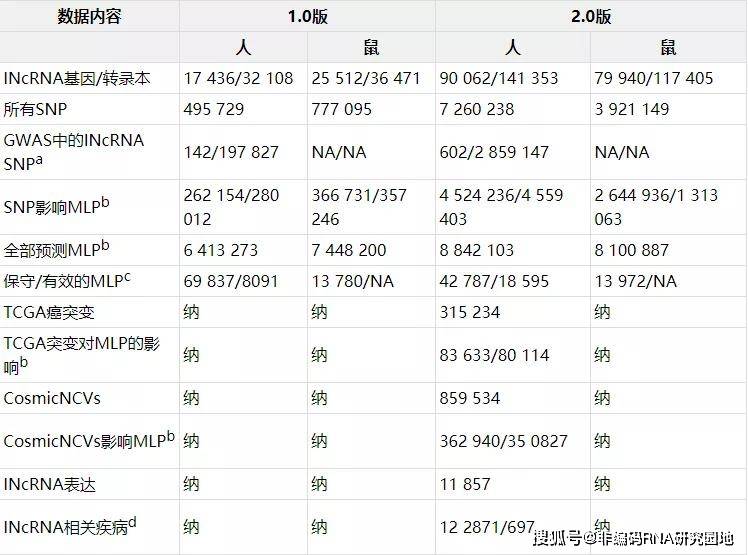 最新资讯 第795页