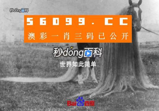 澳门一肖一码精准100王中王,动态词语解释_V219.380