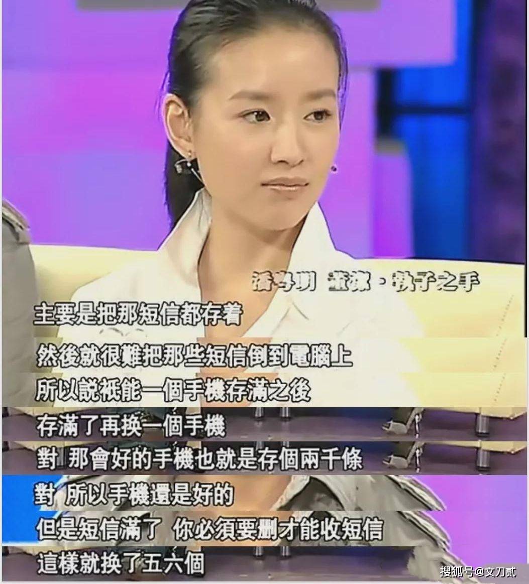 杨子结婚次数揭秘，婚姻历程中的波折与变迁_解释落实