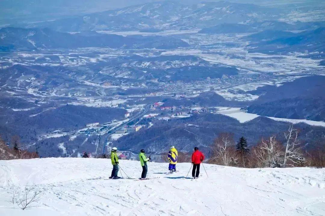 广西小砂糖橘再闯哈尔滨，甜蜜之旅背后的产业振兴与地域合作_全面解答