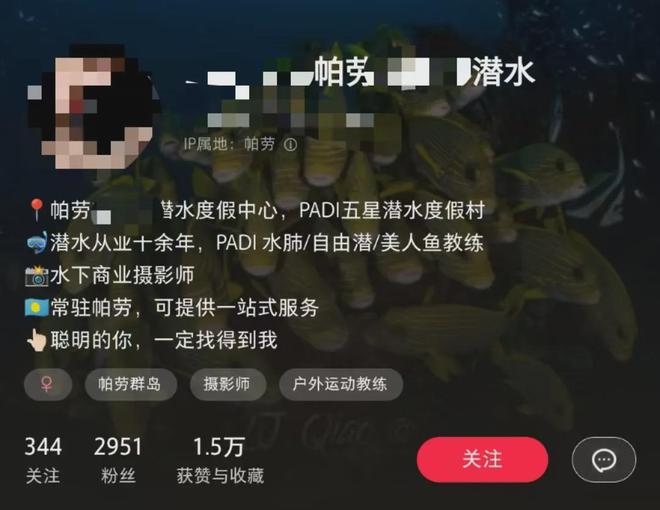 帕劳潜水失联游客在水里泡近30小时，生死未卜的深海冒险