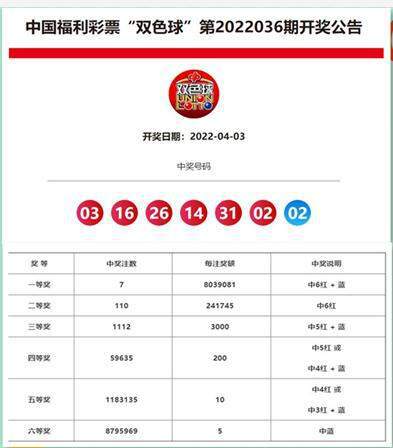 澳门特马今期开奖结果查询——在生活中寻找智慧与平和