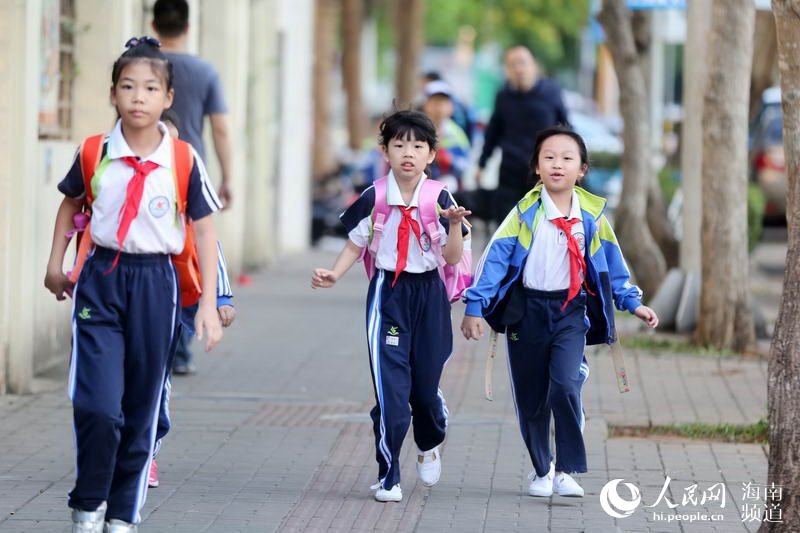 海口小学生校内身亡事件，深度分析与反思