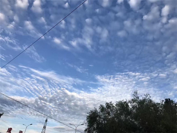 揭秘邯郸地震云，探寻自然预警背后的神秘面纱