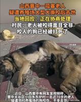 孤寡老人疑遭大型犬撕咬去世，引发社会关注与深思