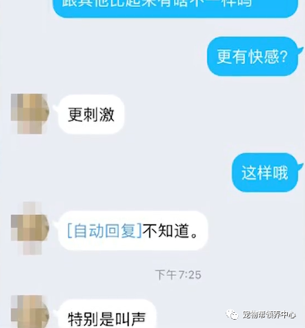 揭秘虐杀宠物产业链，深度调查与反思