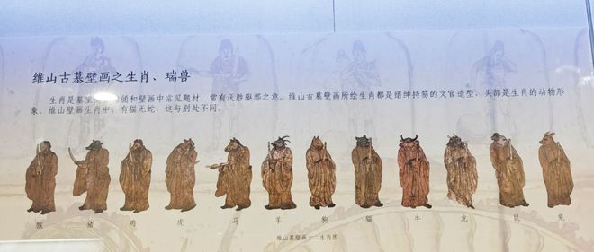 属蛇的人在古代可能属猫，生肖变迁与历史文化之谜