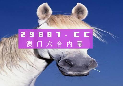 香港特马资料王中王——反馈实施和计划