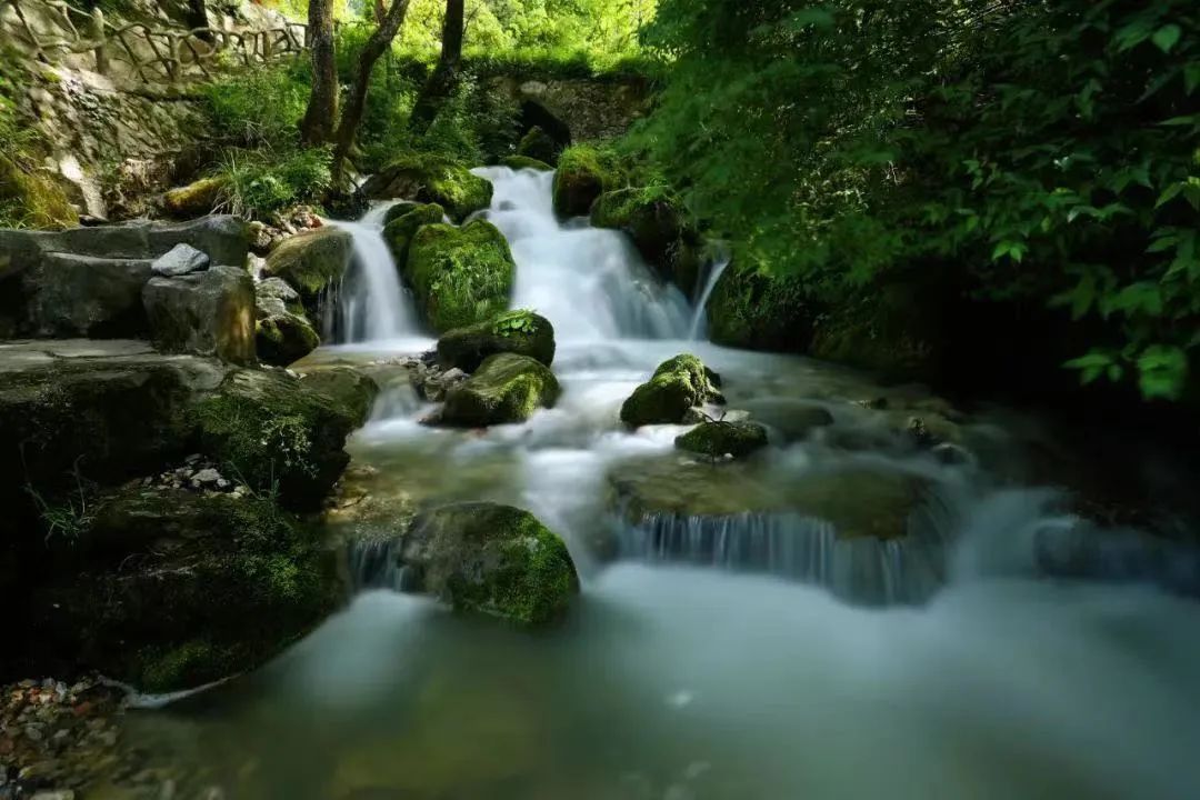 绿水青山间的生态奇迹，情感与未来的交织