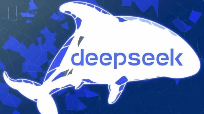 DeepSeek爆火的启示