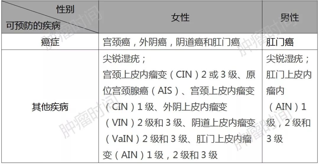 湖北省男性HPV疫苗接种全面启动，引领健康新风尚，悬念待解之谜