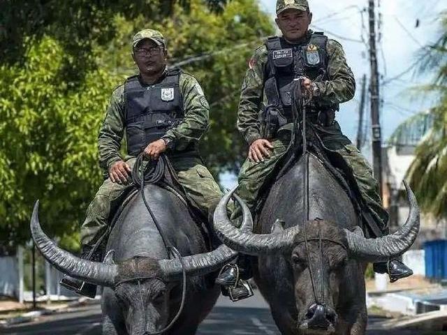 特警铁骑震撼来袭！马背上的守护神霸气巡逻城市街头