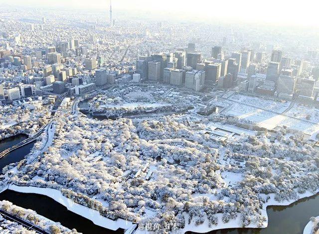 日本遭遇罕见积雪，最厚处竟达五米，究竟发生了什么？