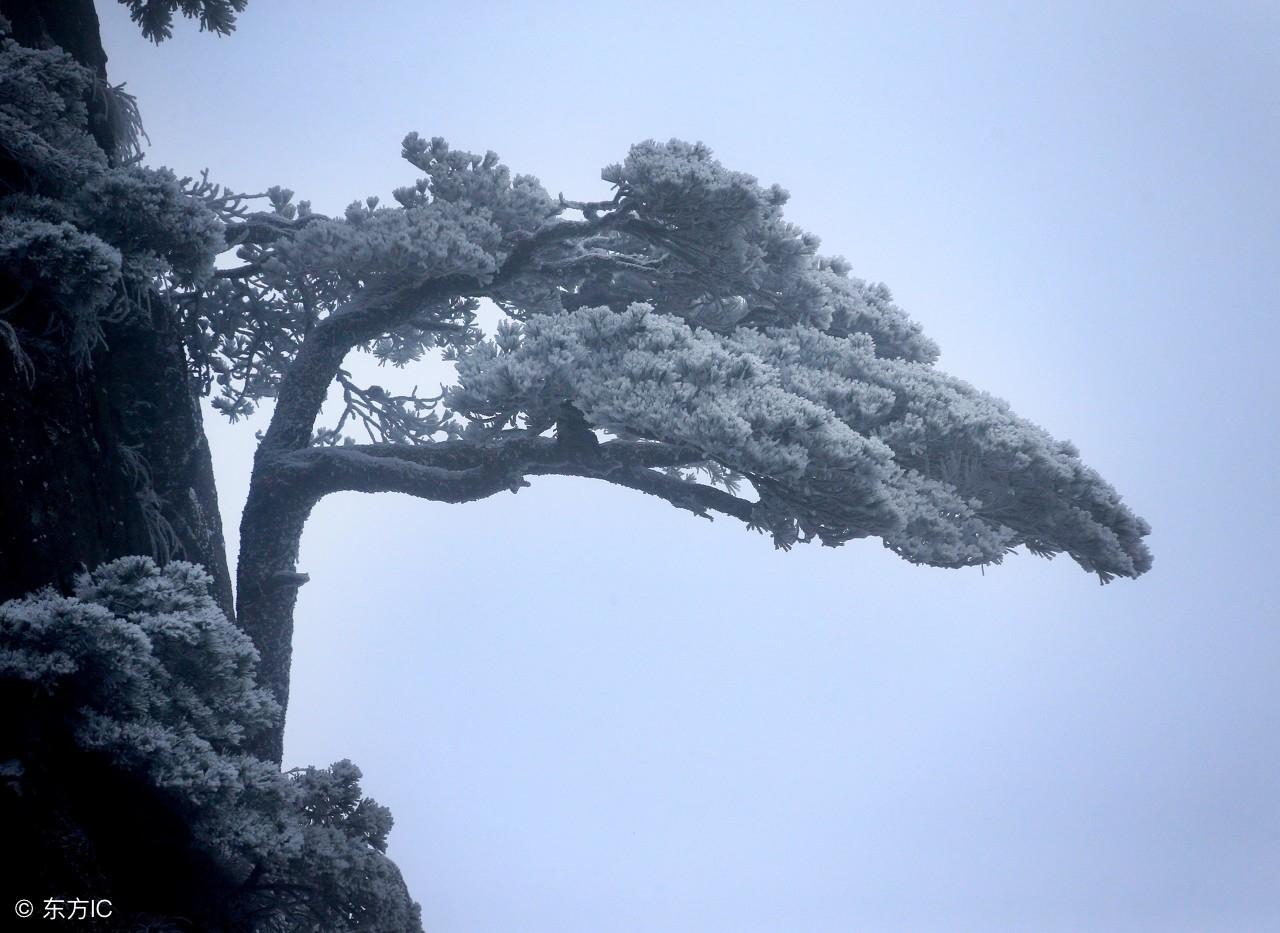 黄山遭大雪袭游客头朝下滑落险象环生，究竟发生了什么？