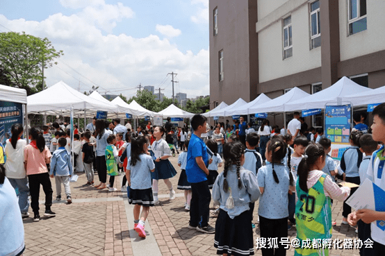 成都惊现机器人授课热潮！30所学校真的在行动？揭秘真相！