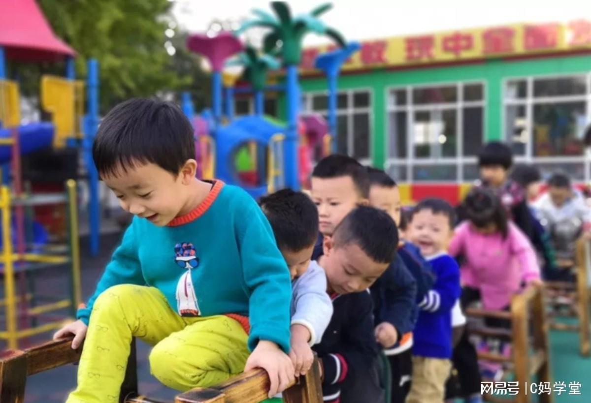 揭秘幼儿园实况！公立与私立究竟有何不同？网友深度分享！