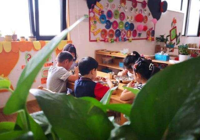 幼儿园面临无孩可带困境，被迫关闭——背后的真相深度剖析