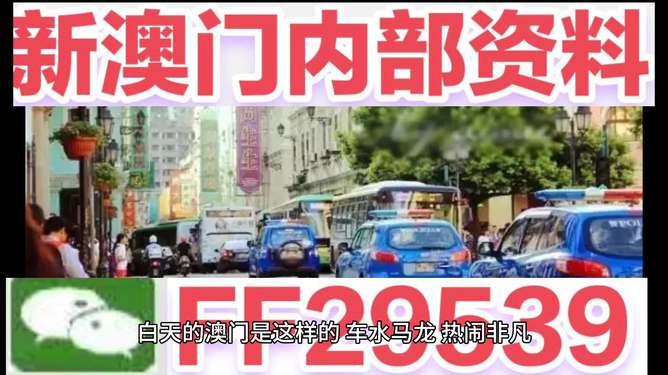 2025澳门今晚开奖记录揭晓！你绝对想不到的反馈实施与执行力，9DM35.449将如何改变一切？