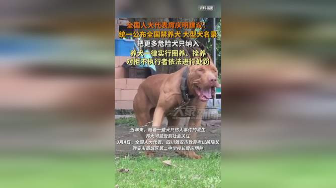 紧急关注，统一禁养犬名录，我们真的准备好了吗？