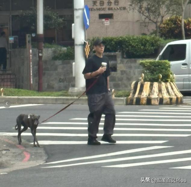 网友偶遇彭于晏与女生遛狗，神秘一幕背后的真相究竟如何？