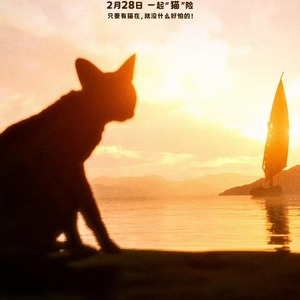 猫猫的奇幻漂流上映