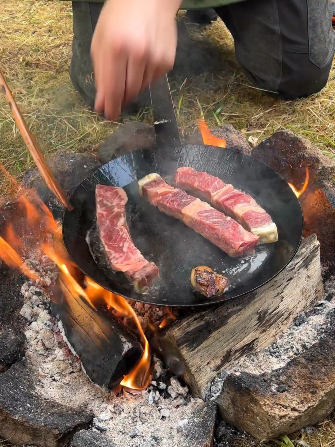 露营烤牛肉遭遇牛群突袭，美味瞬间消失无踪！神秘事件揭秘背后的真相与法规解读