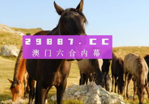 惊爆！澳门管家婆一码一中一背后的秘密，Console99.717如何用执行力改写规则？